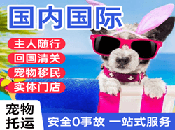 阿克苏红旗坡空运地址国际宠物托运 【国